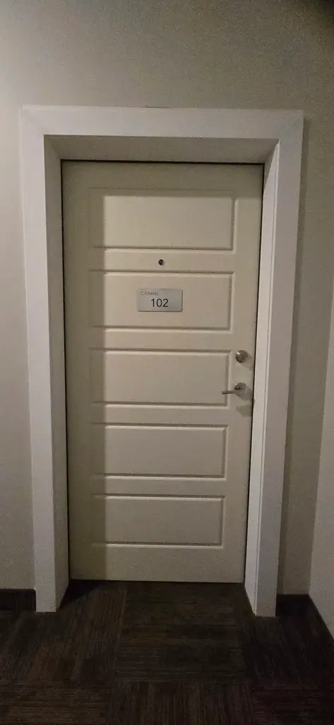 install door
