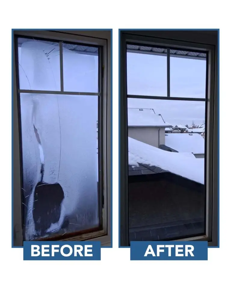 Window Repair
